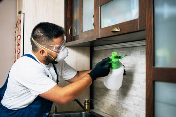 Best Flea Control Services  in Winters, TX