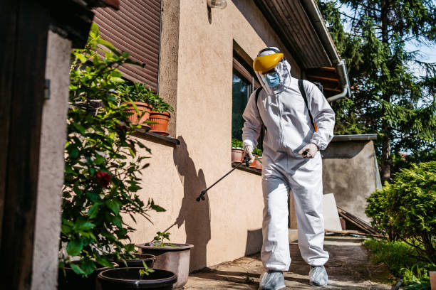 Reliable Winters, TX Pest Control Solutions
