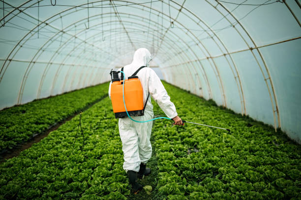 Best Pest Removal Services  in Winters, TX