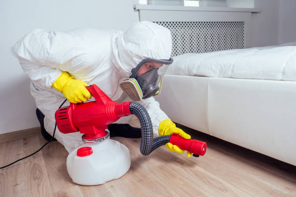 Best Local Pest Control Services  in Winters, TX