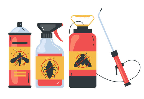 Trusted Winters, TX Pest Control Experts