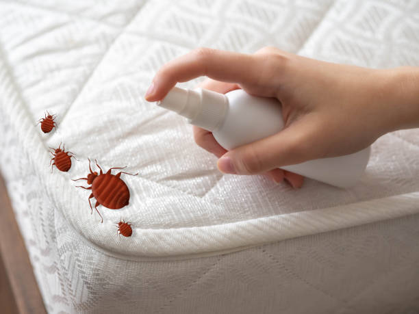 Best Best Pest Control Companies  in Winters, TX